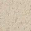 African Ivory MR1