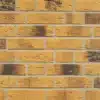 DBA297 London Multi Textured Buff swatch