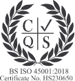 iso 45001 certification logo