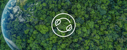ecorend Environmental Impact and Sustainability