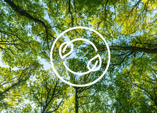 ecorend Why Architects and Specifiers Are Choosing Lime Again